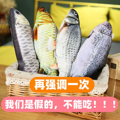 Douyin Same Electric Fish Simulated Fish Funny Cat Beating Fish USB Charging Net Red Fish Novelty Toy