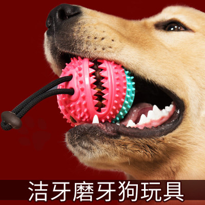 Pet supplies Dog Food qualification ball Bell Sound teeth cleaning Ball Molar Bite Training Dog Toys to the boredom Watermelon ball