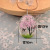Autumn and Winter Long Sweater Chain Travel Real Flower Scenic Spot Big Tree Necklace Lace Flower Starry Mori Girl Series Creative Accessories