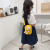 Summer Small Bag Women's Bag  New Fashion Web celebrity Ins Broadband cross-body bag fashion canvas Small Square bag