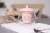 Macaron Tone Scented Tea Cup Internet Celebrity Live Streaming Hot Gift Cup Teacup Water Cup Cup with Cover