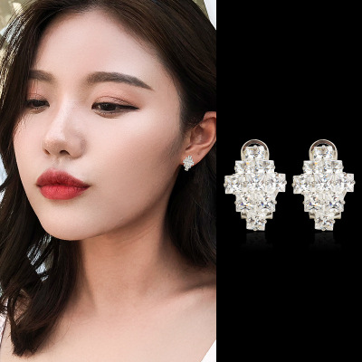 Long and Simple Earrings Anti-Allergy Korean Exaggerated Zircon Earrings All Match Elegant Earrings Female Factory Direct Sales
