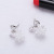 Gentle Lady Slim Face Earrings Crystal Long Tassel Tassel Sterling Silver Stud Earrings Female Temperament Socialite Online Influencer Eardrops