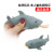 Cannibal shark pinched pinched music squeeze Cannibal foot shark vent pressure toys wholesale