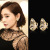 925 Silver Needle Elegant Artificial Zircon Earrings Korean Style Simple Wax Inlaid Butterfly Earrings Silver Accessories Factory Direct Sales 925