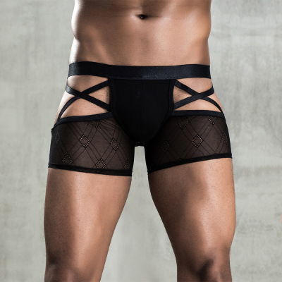 JSY High-End Underwear Men's Sexy Lace See-through Black Mesh Temptation European and American Adult Cross-Border Foreign Trade Shorts