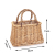 Rattan Woven Bag for Women New Woven Bag Fresh and Stylish Small Bag Summer Seaside Beach Handbag