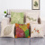 Printed Office Siesta Pillow Linen Foreign Trade Pillow Home Cushion Cotton and Linen Cushion Case Sofa Cover Cushion