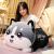 Cuddly toy cute Husky dog bear doll two Habbits doll long sleeping pillow sell like hot cakes