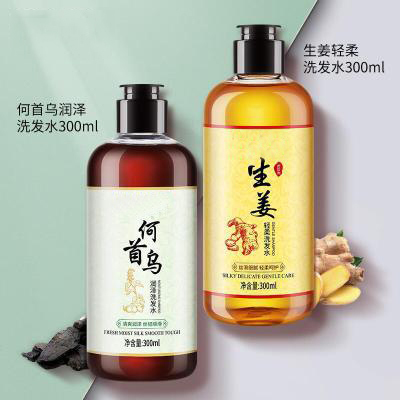 Ginger shampoo Moisturizing Refreshing shampoo Soft nourishing Polygonum multiflorum shampoo shampoo 48 bottles/box