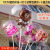 Stall Night Market Bounce Ball Night Market Luminous Ball Shining Internet Celebrity Transparent Balloon Cartoon Random Novelty Toy