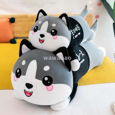 Cuddly toy cute Husky dog bear doll two Habbits doll long sleeping pillow sell like hot cakes