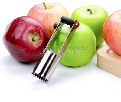 Stainless steel fruit corer creative apple corer snow pear apple corer