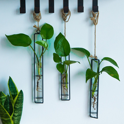 With Creative Wrought iron glass Vase, twine Pendant hanging on the wall of the living room