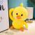 A stuffed toy made by douyin is a web celebrity duck doll given to a girl for her birthday