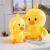 A stuffed toy made by douyin is a web celebrity duck doll given to a girl for her birthday