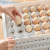 Creative Household egg carton Refrigerator Storage Container Kitchen Plastic food container egg drawer Holder