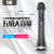 L-698 National Karaoke Artifact Mobile Phone Karaoke Microphone Bluetooth Microphone CAR 15W KTV