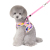 New Spring and Summer PET clothes Camouflage chest back PET cool small dog clothing manufacturers Direct