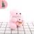 Paula Cute Mother-and-Child Bear Doll Plush Toy Little Bear Doll Doll Bag Accessories Activity Gift Factory Wholesale