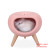 Muguang Cottage Ambience Light Cat Three-Color Mixed Batch Sleeping with Small Night Lamp USB Charging Dimming Sleeping with Small Night Lamp