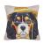 For leaning on the sofa with a Cartoon short plush pillow as living room pillowcase model between the wholesale the back of the head