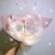 Factory Wholesale Artificial Rose Bounce Ball 22-Inch Internet Celebrity Ins Transparent Night Market Stall Luminous Balloon Hot Sale