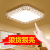 LED Ceiling Lamp round Master Bedroom Lamp Rectangular Lamp in the Living Room Cozy and Romantic Remote Control Aisle Balcony Lighting