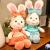 Cute butterfly bunny dolls and girl birthday dolls hot style are hot sellers
