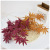 Simulation flower Trident Maple Leaf Wedding Material High-end Ceiling Road Lead flower Arrangement Factory Direct sale