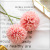 Sample Flower, Single head, Dandelion ball chrysanthemum fake Flower Living Room Potted flower Arrangement wedding decoration small thorn Ping Pong chrysanthemum