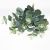 For taste, Simulated single Eucalyptus DIY plant Green Partition Decorative Potted flower Arrangement leaves green leaves and money leaves wedding