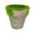 Imitation flocking pot lichen Succulent Plants Green Potted plants with flower mud Moss Pulp pot manufacturers wholesale