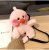Psyduck TikTok Celebrity Inspired Plush Toy Cartoon Phone Bag Duck Bag Wholesale Custom Support One Product Dropshipping