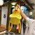 INS Net Red Eccentric Personality Dull Chicken Backpack Plush Toys Sesame Street Small Bag Ladies' Bag Wholesale