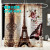 STAR MAT Eiffel Tower shower curtain, waterproof polyester fabric, four-piece hotel bathroom curtain