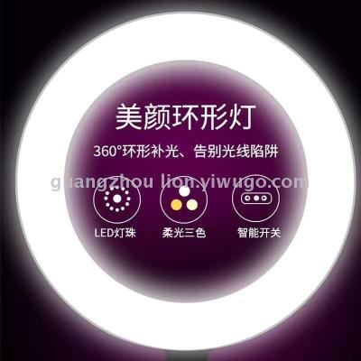 2020 Model Live Streaming Lighting Lamp Beauty Lights Red Light Live Broadcast Sharp Tool Fluorescent Fixture Ring Light 12-Inch 32cm