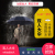 Ten-Bone Oversized Double Umbrella Male and Female Oversize Student Folding Rain Dual-Use Vinyl Sun Protective Uv Umbrella