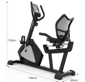 Home Use and Commercial Use Exercise Bike 607r Recumbent Cycle