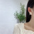 925 Silver Needle Crystal Pearl Hollowed out flower earring Super Fairy petals Pure and fresh Eardrop Silver Needle Korean Stud Earrings
