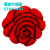 STAR MAT Korea silk bright silk big red rose foot mat 3D irregular three-dimensional beautiful carpet