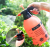 Spray bottle gardener household spray bottle air pressure sprayer water bottle small spray bottle