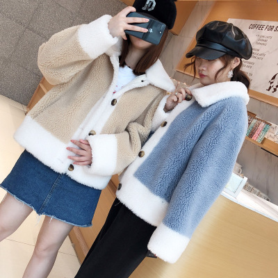 Winter 2019 New Haining Granule Lamb Wool Composite fur Coat short style