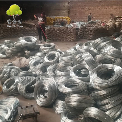 Direct Factory Electro Galvanized Iron Wire 20 Gauge 0.9mm Small Roll Construction Binding Wire for Export
