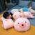 Stuffed toy web celebrity bubble pig doll pig pillow hot selling dolls office nap doll