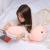 Stuffed toy web celebrity bubble pig doll pig pillow hot selling dolls office nap doll