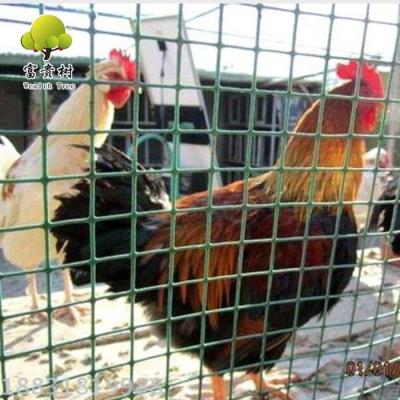 Direct Factory PVC Green Color Welded Wire Mesh 1/2''*1.2m*20m Animal Zoo Fence Iron Wire Mesh
