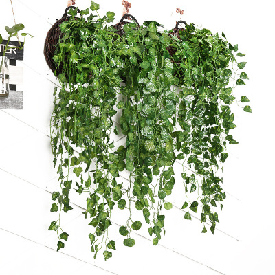 Emulational Green Dill Wall Hanging Vine Simulation Plant Hanging Basket Background Wall Decoration Simulation Ivy Wall Hanging