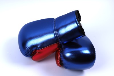 China Dream Taekwondo gloves Boxing gloves household China Dream boxing gloves manufacturers wholesale