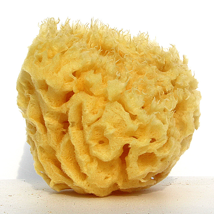 热款希腊天然海绵地中海天然蜂窝海绵（脱色）浴球婴儿搓洗澡